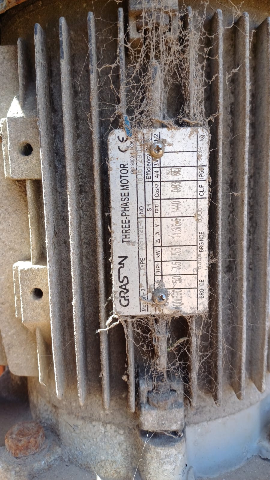 Rotary Vegetable Washer Machine - Image 7