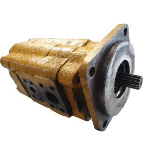 P51 Double Gear Pump