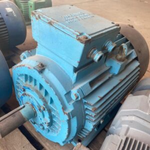 15 KW Motorelli Electrical Motor