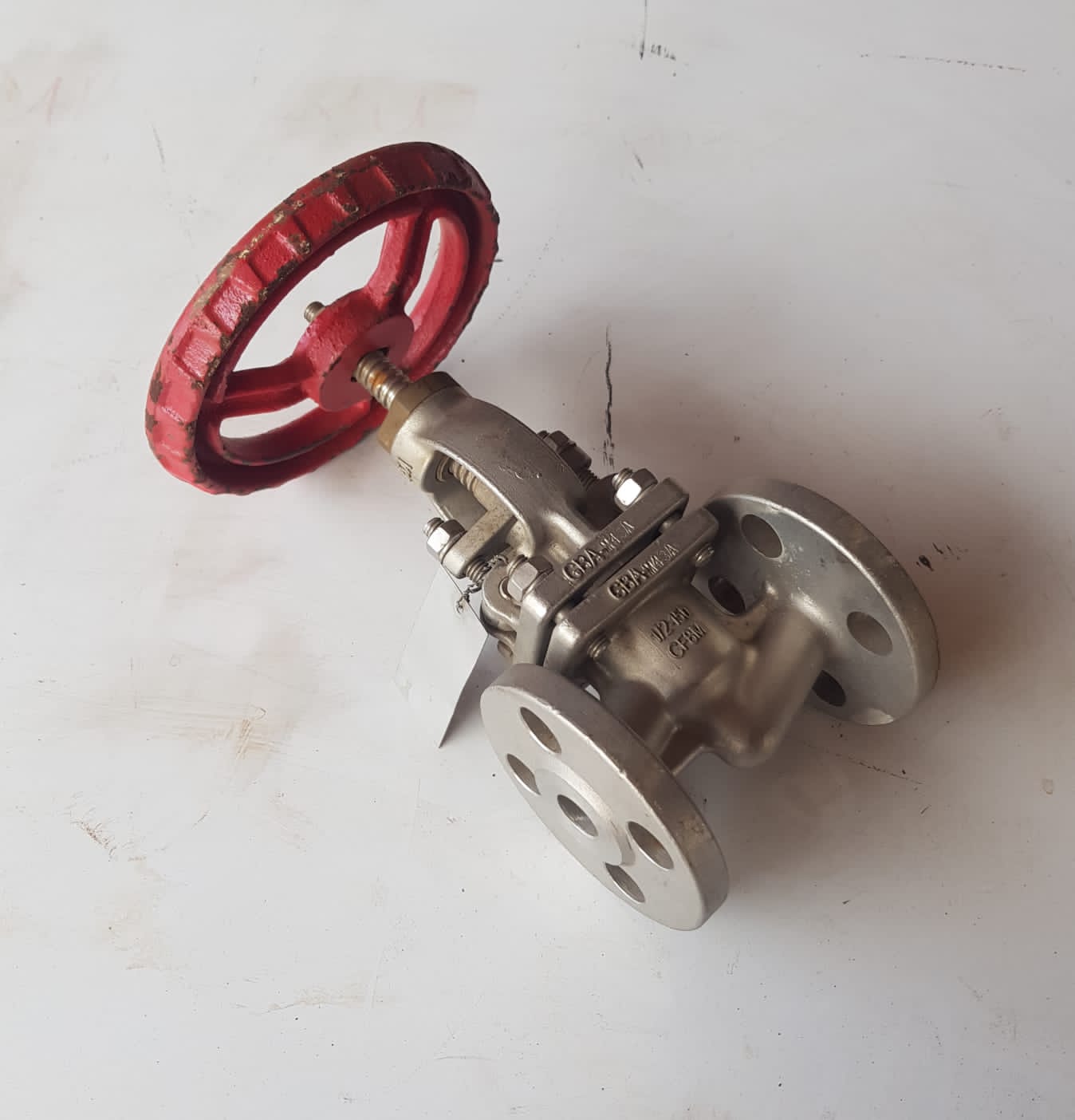Stainless Steel Flanged End Globe Valve CF8M