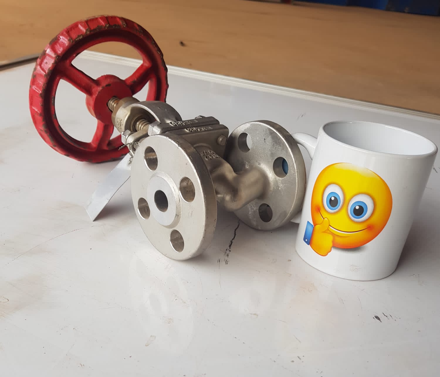 Stainless Steel Flanged End Globe Valve CF8M - Image 3