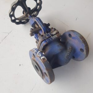 Cast Iron Flanged End Globe Valve