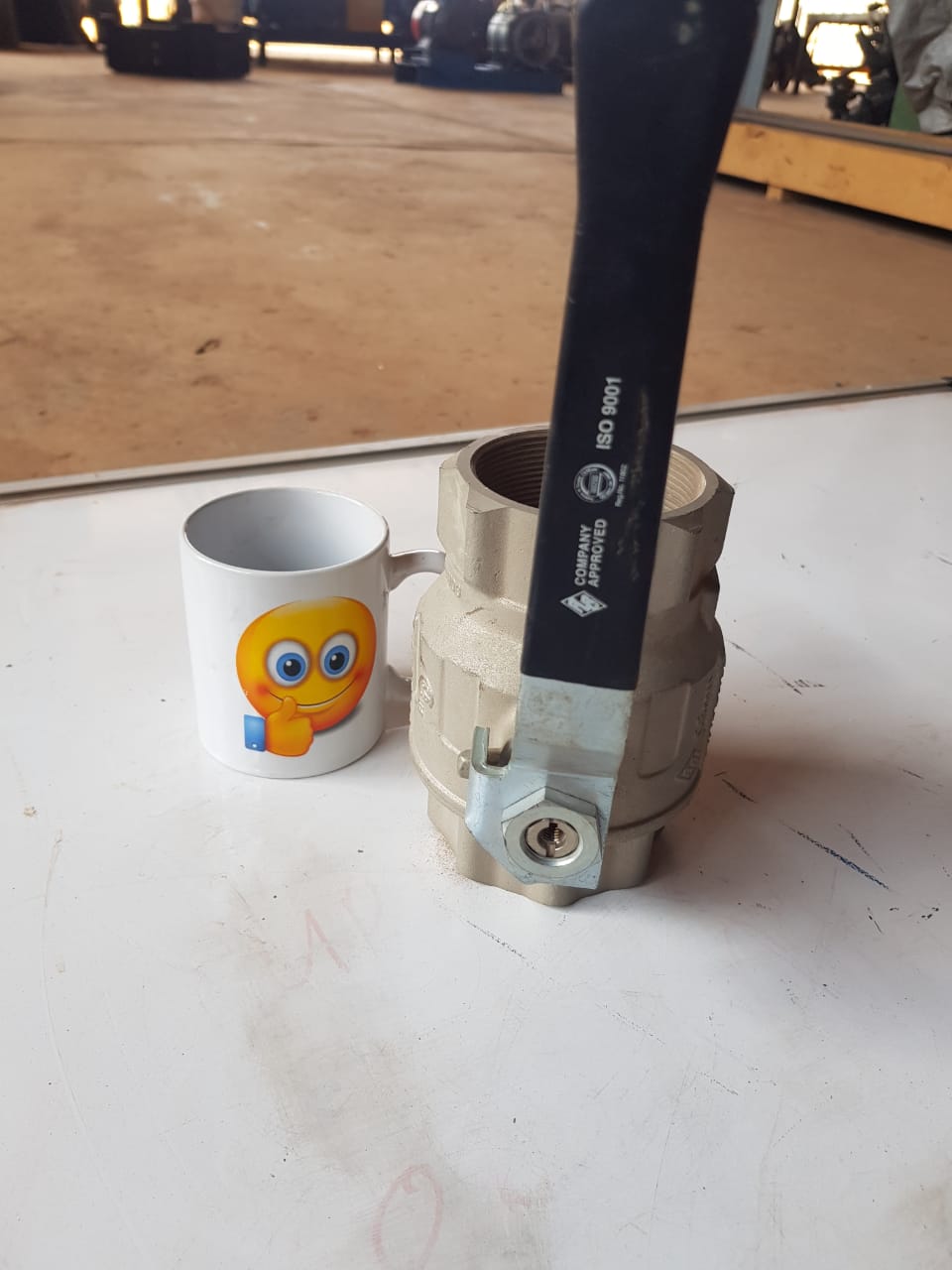 Water Gate Valve 70mm