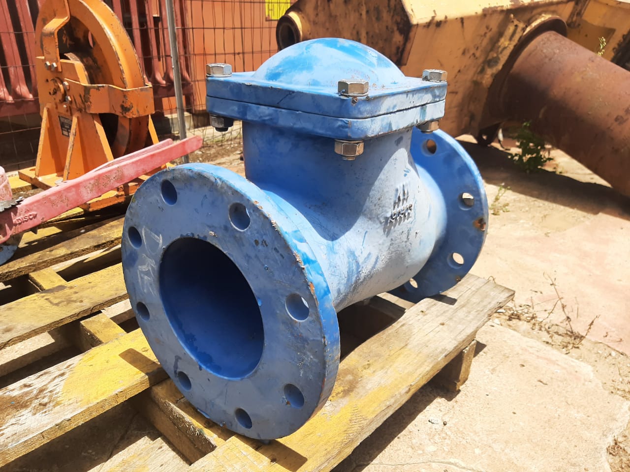Ball Check Valve PN16