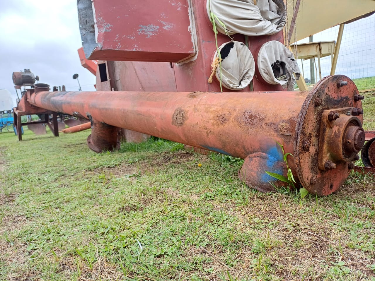 Maize Screw Auger 5.6m - Image 3