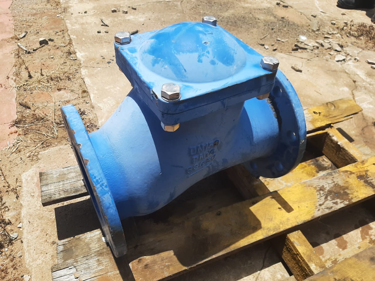 Ball Check Valve PN16 - Image 3