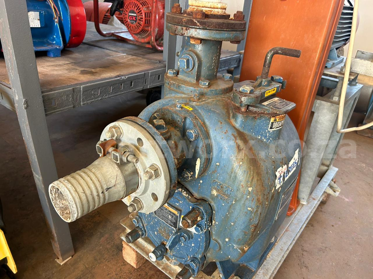 Gorman Trash Slurry Pump - Image 4